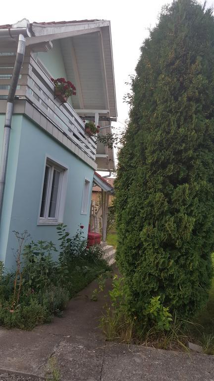Casa Cristina Villa Sovata Exterior photo